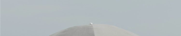 مسايا سيدي عبد الرحمن